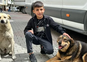 Yağmurda köpeği ıslamaktan koruyan Ayaz o anları anlattı