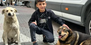 Yağmurda köpeği ıslamaktan koruyan Ayaz o anları anlattı
