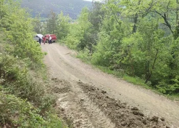 Ormanda feci kaza: 1 yaralı