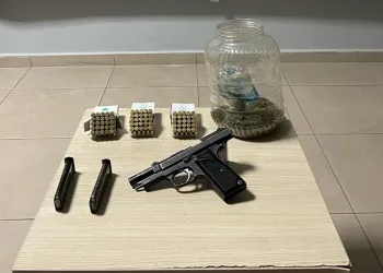 Evinde Hint keneviri yetiştirdiği tespit edilen şahıs gözaltına alındı