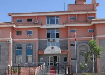 Sokak köpeğini silahla öldüren şahıs serbest kaldı