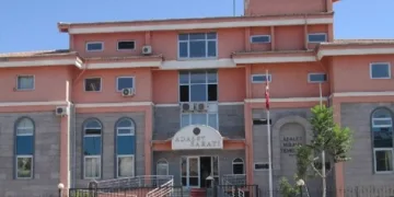 Sokak köpeğini silahla öldüren şahıs serbest kaldı