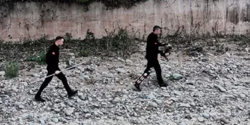 Çaya düşen yavru köpek kurtarıldı