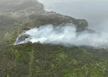 Kastamonu’da orman yangını