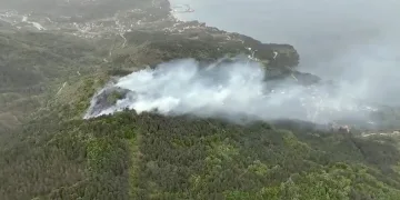 Kastamonu’da orman yangını