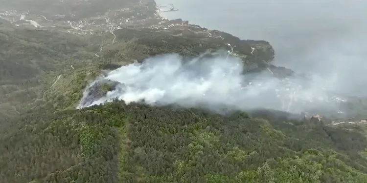 Kastamonu’da orman yangını