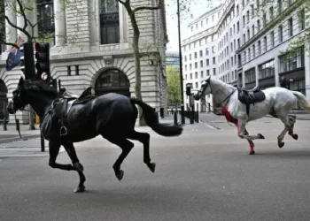 Londra’yı karıştıran Kraliyet atları