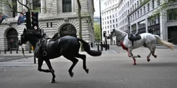 Londra’yı karıştıran Kraliyet atları