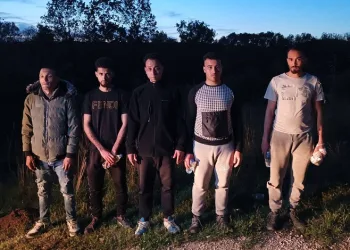 Edirne’de 5 kaçak göçmen yakalandı