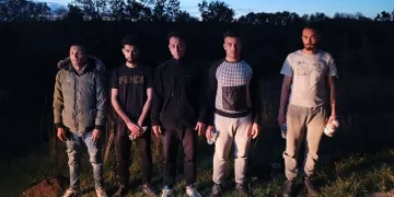 Edirne’de 5 kaçak göçmen yakalandı