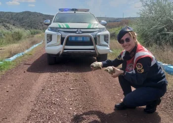Jandarma ekiplerinin ‘kaplumbağa’ mesaisi