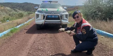 Jandarma ekiplerinin ‘kaplumbağa’ mesaisi