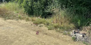 Komşusunu öldüren sanığa müebbet hapis talebi
