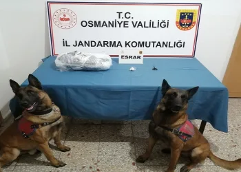 Naftalinle kaplanmış paketten esrar çıktı
