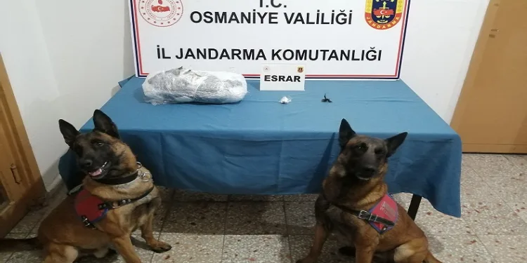 Naftalinle kaplanmış paketten esrar çıktı