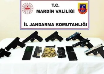 Mardin’deki operasyonda gözaltına alınan şüpheli tutuklandı