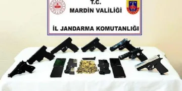 Mardin’deki operasyonda gözaltına alınan şüpheli tutuklandı