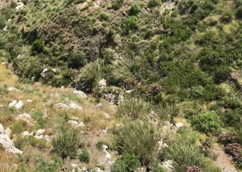 Göcek’te kayalıklardan düşen kişi hayatını kaybetti