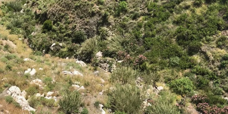 Göcek’te kayalıklardan düşen kişi hayatını kaybetti