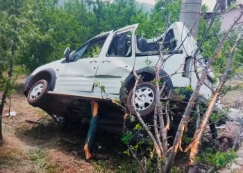 Hafif ticari araç bahçeye savruldu