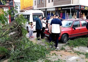 Bursa’da seyir halindeki otomobilin üzerine ağaç devrildi