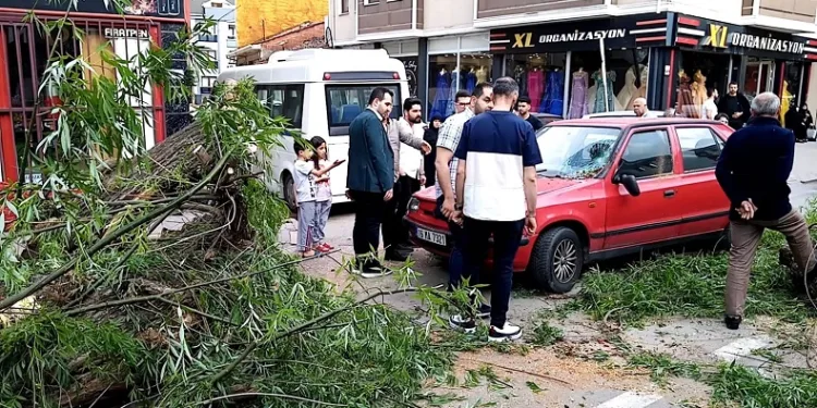 Bursa’da seyir halindeki otomobilin üzerine ağaç devrildi