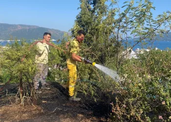 Otluk alandaki yangın ormana sıçramadan söndürüldü