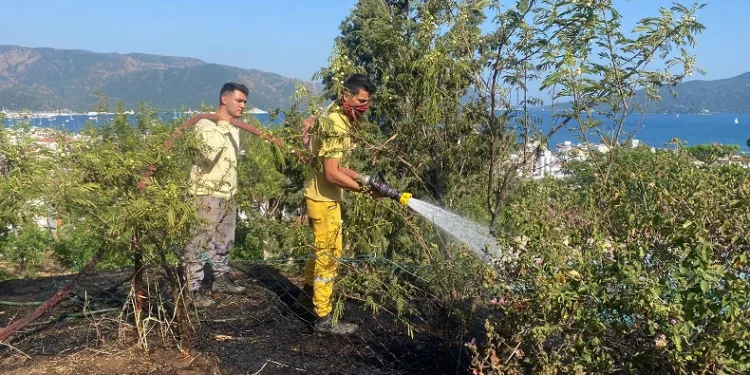Otluk alandaki yangın ormana sıçramadan söndürüldü