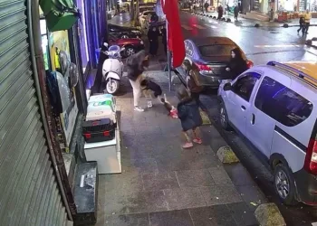 İstanbul’un piskopat kedisi