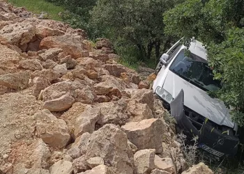 Hafif ticari araç şarampole devrildi