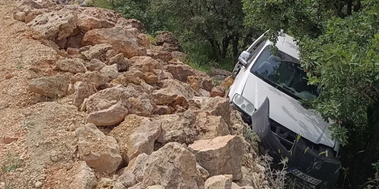 Hafif ticari araç şarampole devrildi