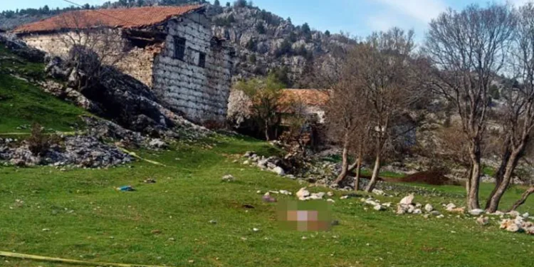 Çoban köpekleri yaşlı kadına saldırdı