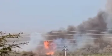 Çankırı’da orman yangını
