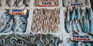 Av yasağının başlamasıyla balık çeşitliliği azalacak