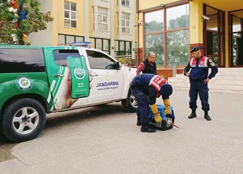 Yaralı leyleğe jandarma şefkati