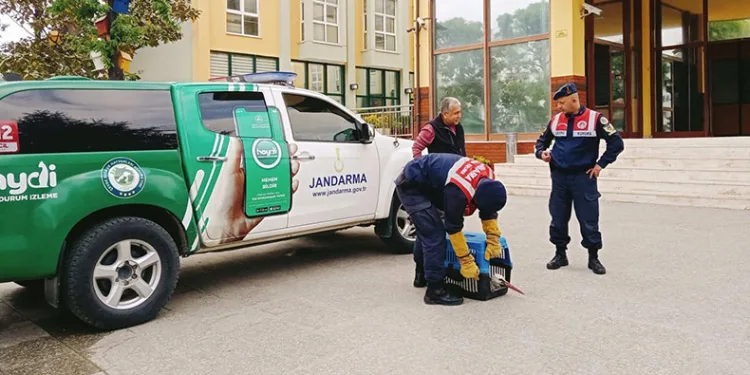 Yaralı leyleğe jandarma şefkati