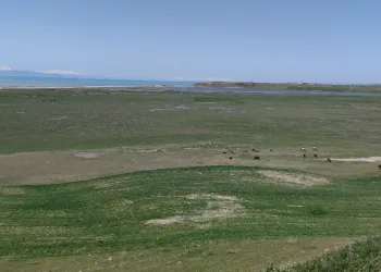 Karasu Çayı eski günlerine kavuştu