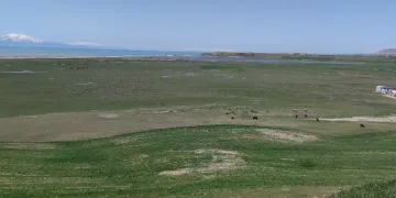 Karasu Çayı eski günlerine kavuştu