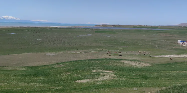 Karasu Çayı eski günlerine kavuştu