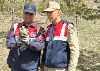 Jandarma yaban kuşlarına sahip çıktı