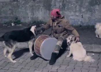 Ramazan davulcusunun patili dostları