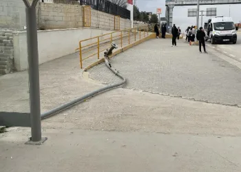 “Devrilen direği kim kaldıracak?”