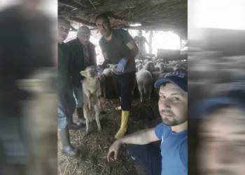 Efeler’de küçükbaş hayvanlar aşılandı