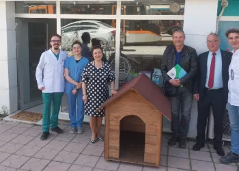 Sokak hayvanları için örnek iş birliği
