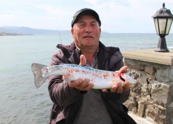 Somon kafesleri yırtılınca, oltasını alan sahile koştu