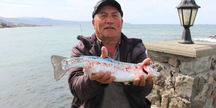 Somon kafesleri yırtılınca, oltasını alan sahile koştu