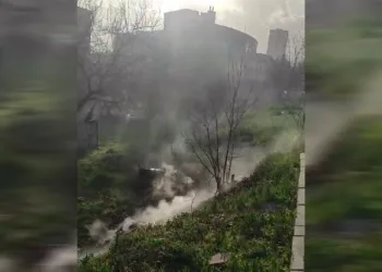Elazığ’da otluk alanda yangın