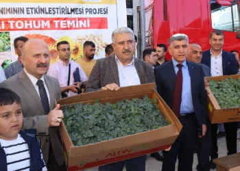 Besni’de 360 bin adet fide dağıtıldı