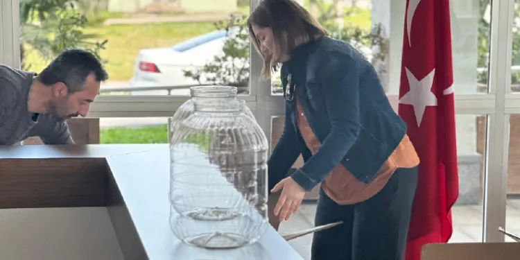 ‘Kahverengi kokarca’ ile mücadele