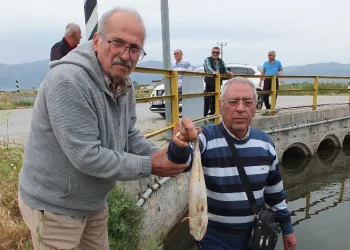 Balıkesir’de balık ölümleri başladı